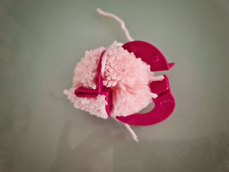 0017_pompon