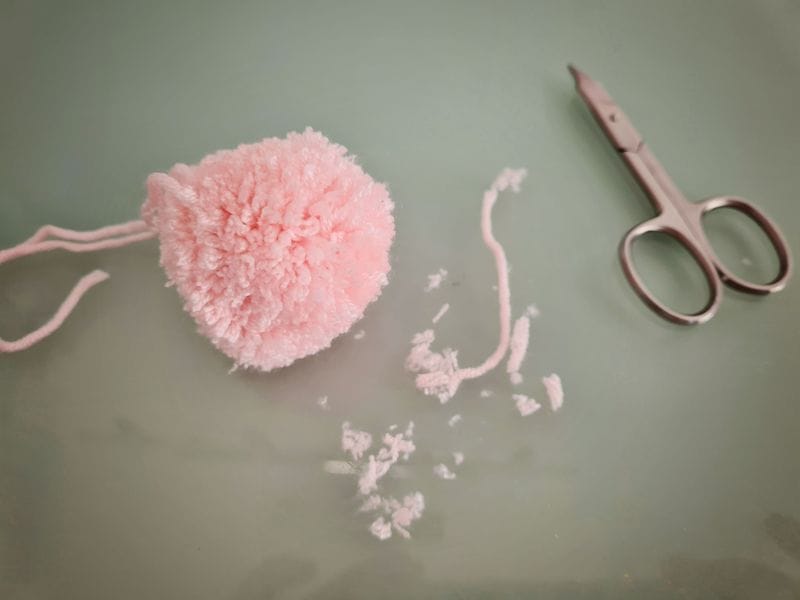 0018_pompon